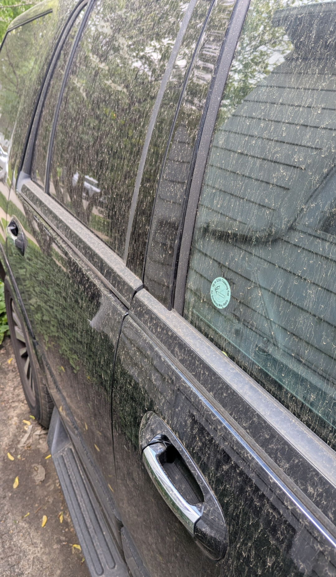 Side of a car covered with a thin layer of dust.