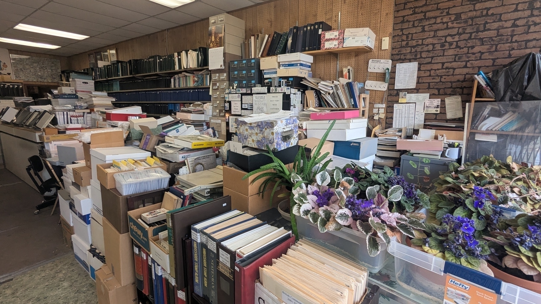 A cluttered office space filled with stacks of books, boxes, files, and potted plants.
