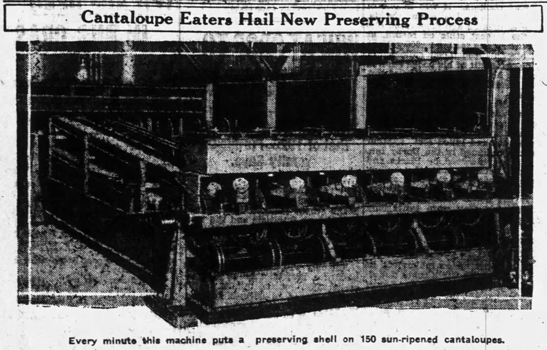an old newspaper clipping with the headline Cantaloupe Eaters Hail New Preserving process