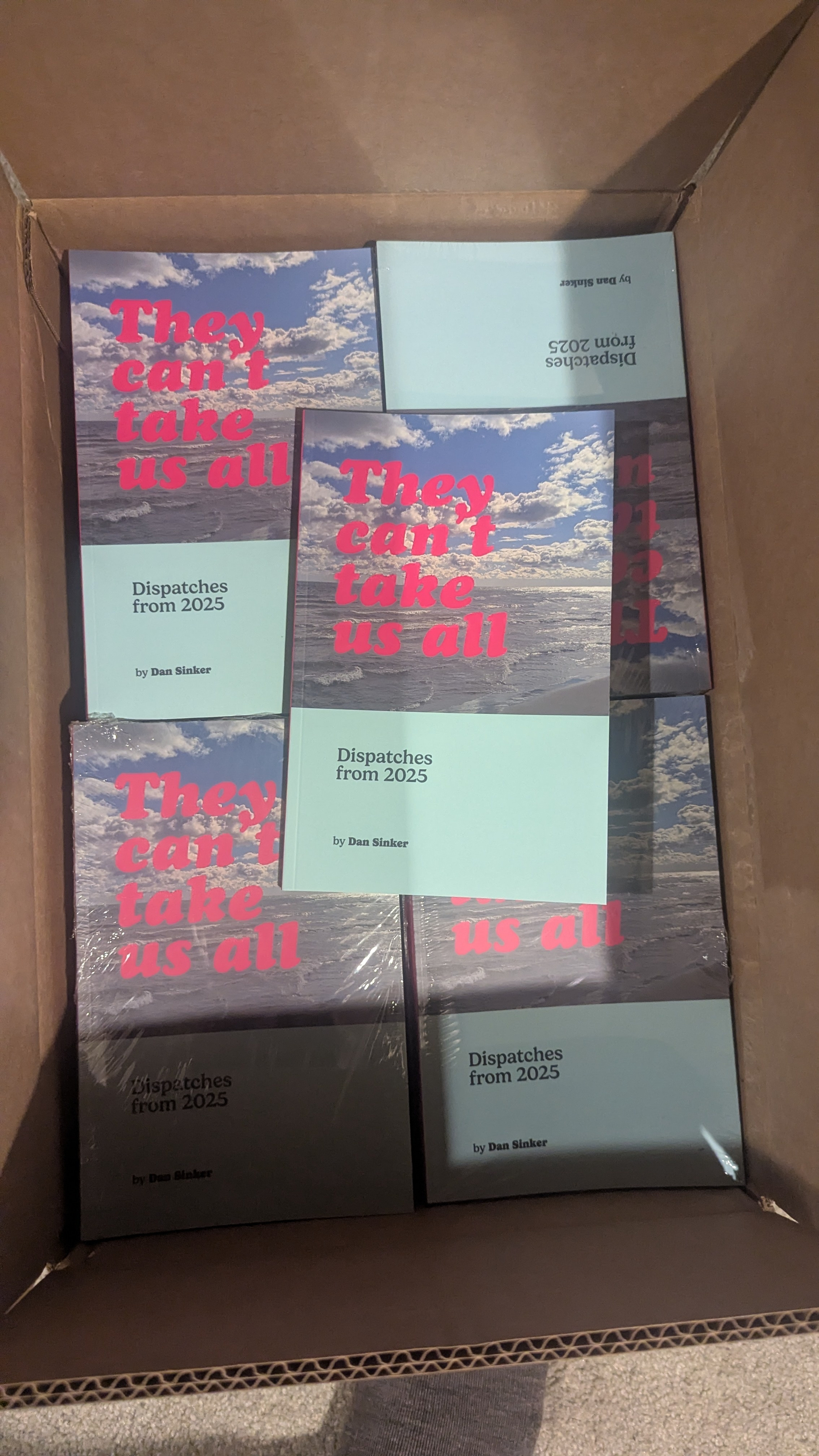 Several copies of a book titled Dispatches from 2025 by Dan Sinker are packed inside a cardboard box.